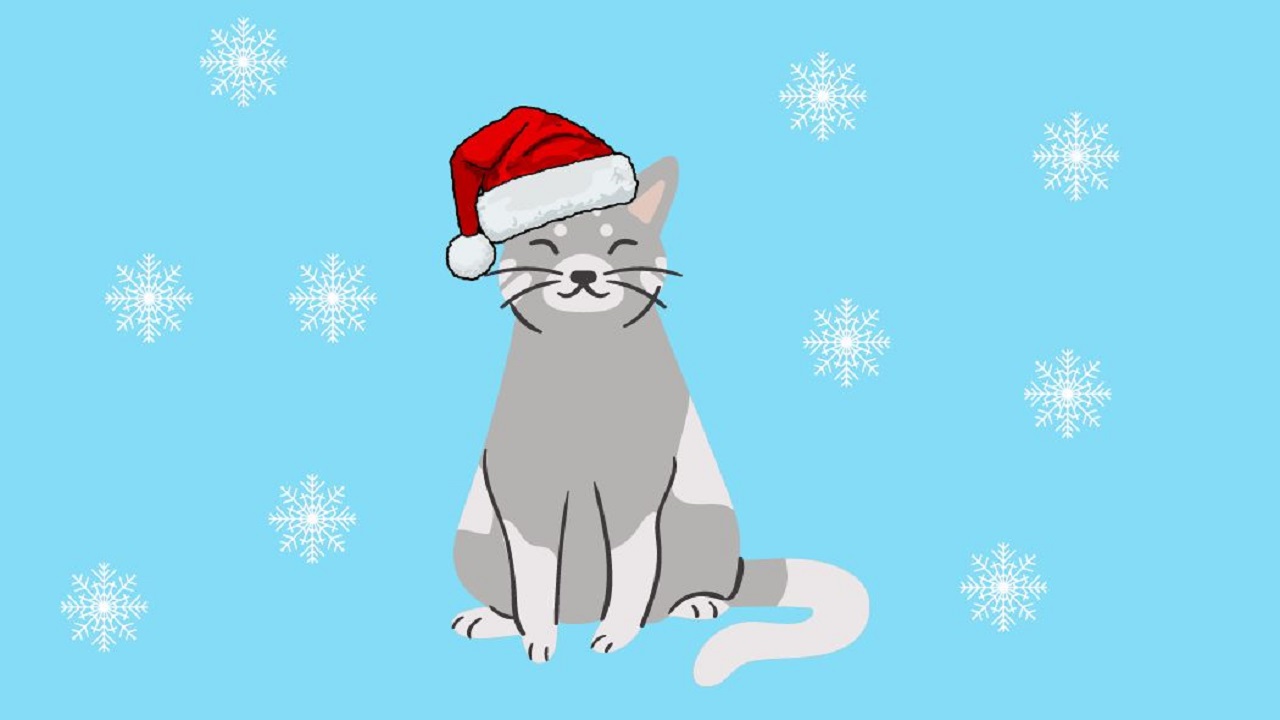 Na niebieskim tle, na środku siedzi biało-szary kot z założoną na głowie czerwoną świąteczną czapką Mikołaja. W tle umieszczone są białe śnieżynki. 