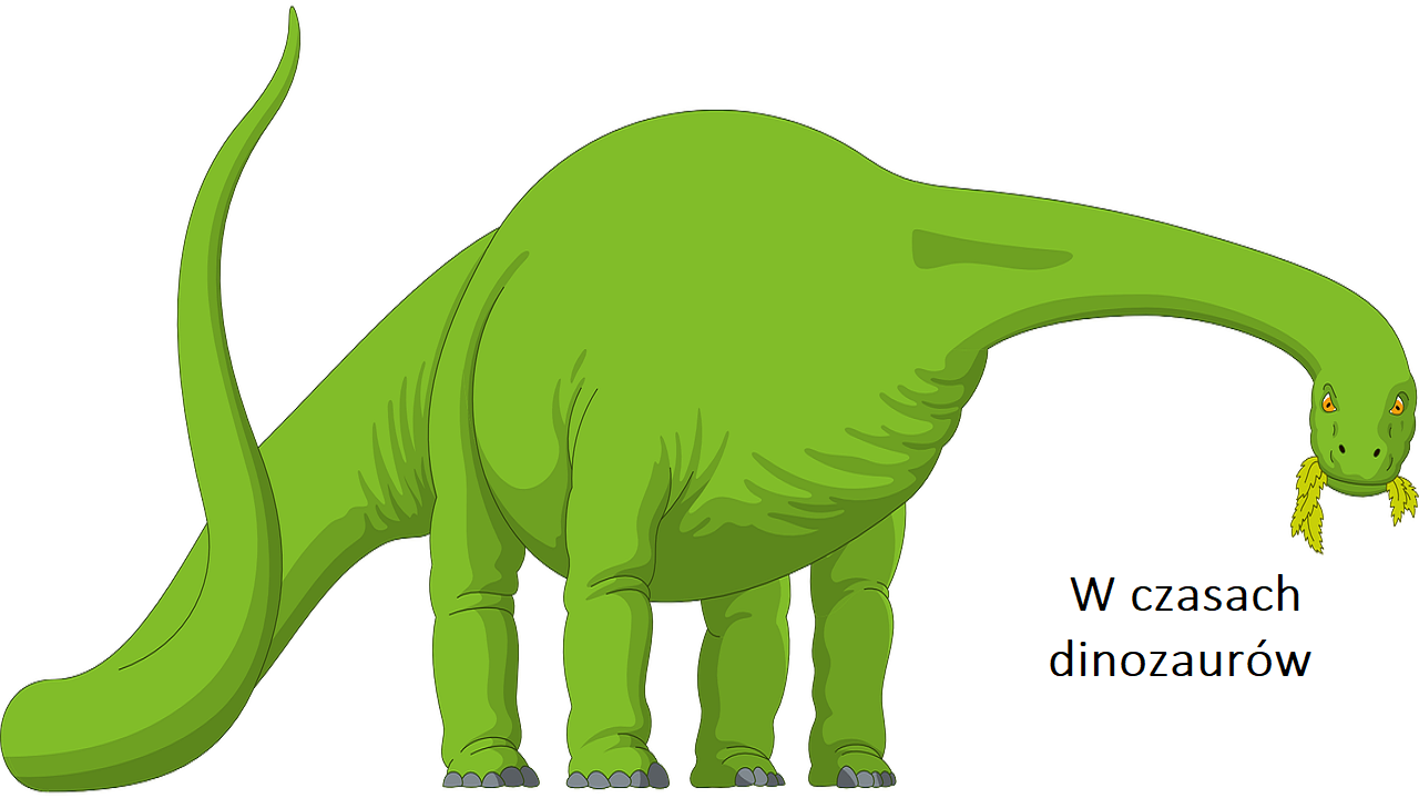 Na białym tle znajduje się z zielony dinozaur diplodok. W prawym dolnym rogu jest napis „W czasach dinozaurów”