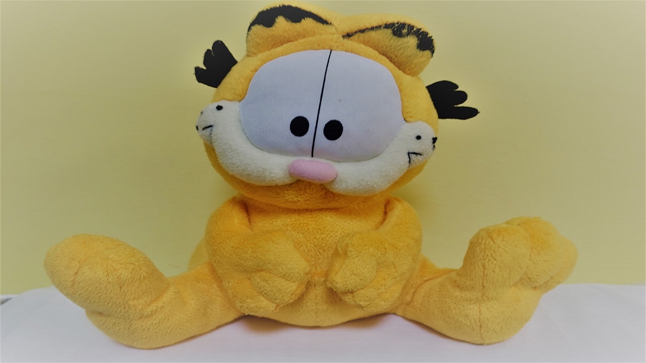 Na jasnym tle widnieje siedząca maskotka kota Garfielda. Kot jest żółty, ma duże białe oczy i  wąsy. Źrenice oczu  są czarne i końcówki stojących uszu także. Nosek ma różowy.